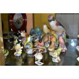 SIXTEEN ROYAL WORCESTER MATT GLAZED BIRD FIGURES, comprising 3248 Jay, 3234 Thrush, 3235 Kingfisher,