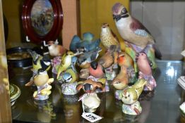 SIXTEEN ROYAL WORCESTER MATT GLAZED BIRD FIGURES, comprising 3248 Jay, 3234 Thrush, 3235 Kingfisher,