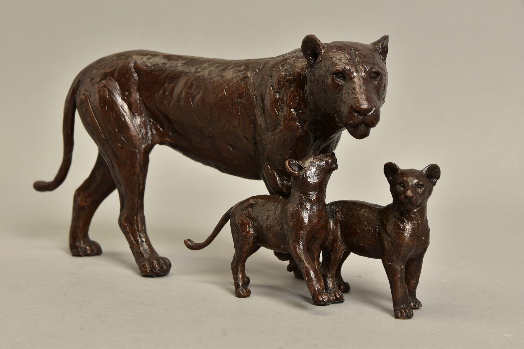 MICHAEL SIMPSON (BRITISH CONTEMPORARY) 'CUB SCOUTS', a limited edition bronze sculpture of a lioness - Image 5 of 6