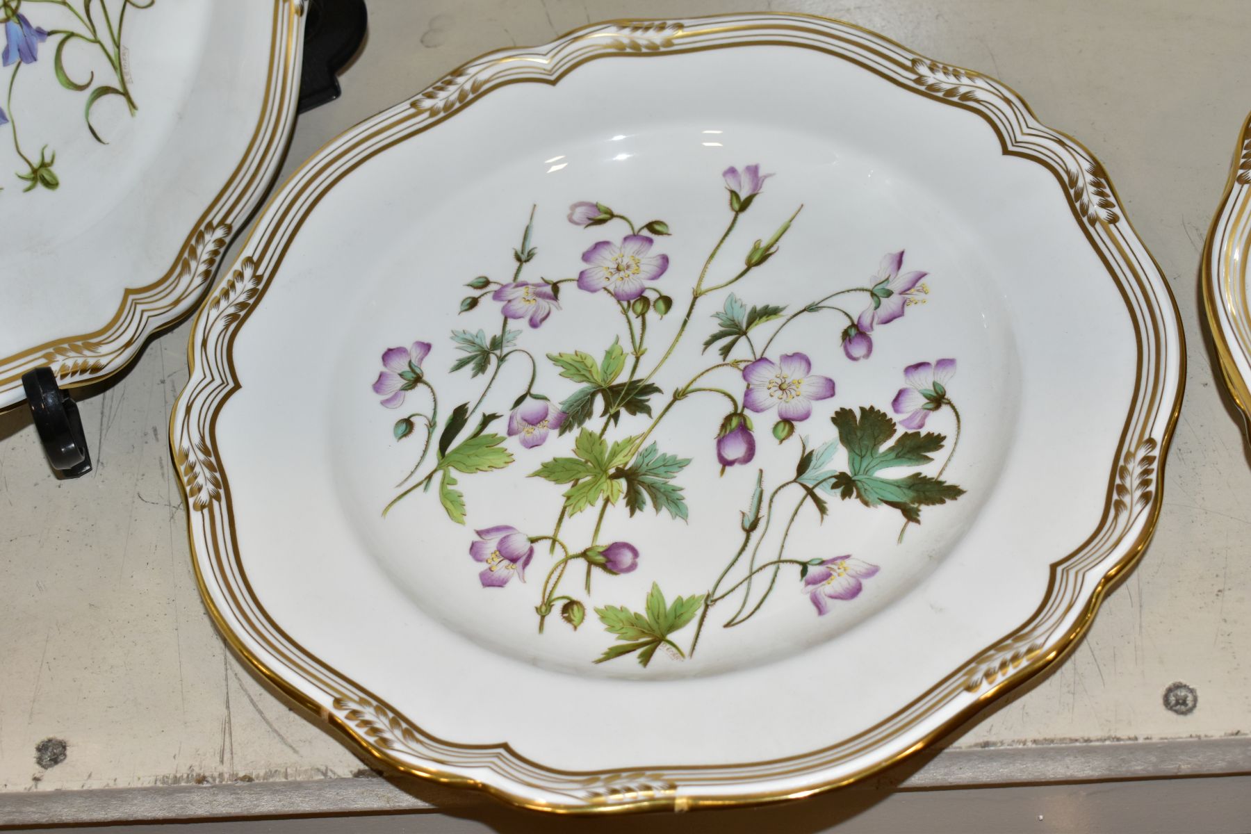 A SET OF SIX SPODE 'WILDFLOWER SERIES' PLATES, 'Harebell' No.1, 'Buttercup' No.2, 'Meadow - Image 9 of 13