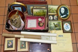 A BOX OF SUNDRY ITEMS to include a taxidermy Fox head by P.Spicer & Sons of Leamington, mounted on a