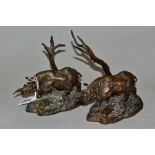 TWO FRANKLIN MINT BRONZES OF 'BLACK RHINOCEROS' (DICEROS BICORNIS) stamped 1976 P. Hand and