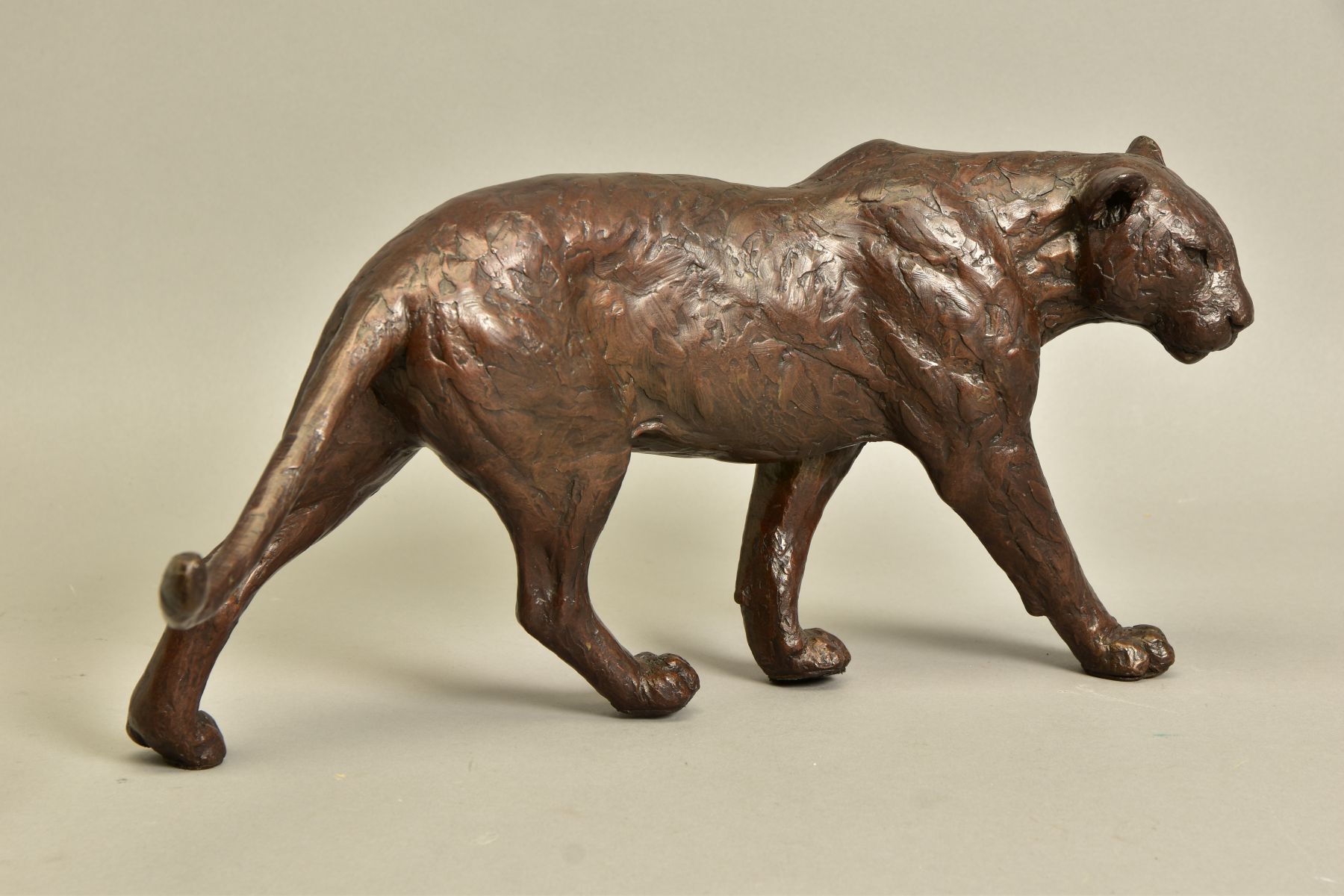 MICHAEL SIMPSON (BRITISH CONTEMPORARY) 'BIG SHOT' an artist proof bronze sculpture of a Lioness 12/ - Image 3 of 7
