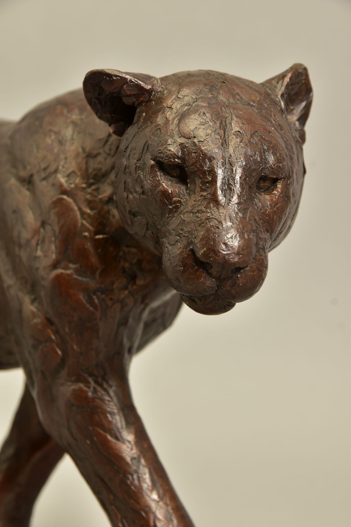 MICHAEL SIMPSON (BRITISH CONTEMPORARY) 'BIG SHOT' an artist proof bronze sculpture of a Lioness 12/ - Image 2 of 7