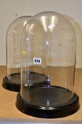 A PAIR OF MODERN DISPLAY GLASS DOMES on black glazed ceramic bases, height excluding bases