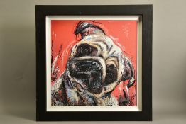 SAMANTHA ELLIS (BRITISH 1992) 'HERE'S LOOKING AT YOU KID', a limited edition print of a pug dog 81/