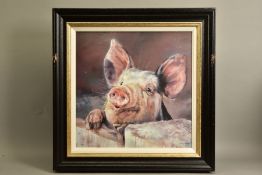 DEBBIE BOON (BRITISH CONTEMPORARY) 'PIG TALE', a limited edition print of a jovial pig, 69/195,