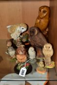 A COLLECTION OF ELEVEN MODERN CERAMIC AND RESIN SCULPTURES OF OWLS, two on wooden plinths,