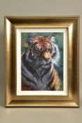 ROLF HARRIS (AUSTRALIA 1930) 'TIGER IN THE SUN', a limited edition print 40/195, signed bottom right