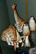 A GROUP OF USSR LOMONOSOV FIGURES, comprising two Penguins, tallest height 16cm, a Sea Lion and