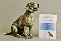 APRIL SHEPHERD (BRITISH CONTEMPORARY) 'PAYING ATTENTION', a limited edition sculpture of a dog 51/