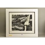 JOHN SWANNELL (BRITISH 1946) 'NAKED LANDSCAPE, PLATE 43' a limited edition photographic print 1/