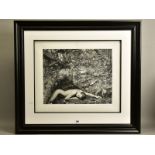 JOHN SWANNELL (BRITISH 1946) 'NUDE ASLEEP' a limited edition photographic print 5/295 depicting a