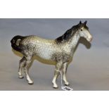 A BESWICK SWISH TAIL HORSE IN ROCKING HORSE GREY GLOSS, first version, model no 1182, with extensive