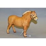 A BESWICK NORWEGIAN FJORD HORSE, model no 2282, dun gloss, printed mark to the underside, adhesive