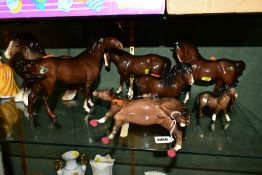 SEVEN BESWICK BROWN HORSES/FOAL, comprising Bois Roussel Racehorse No 701, 2nd version (leg loose