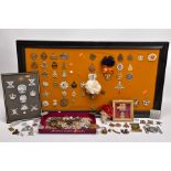 A LARGE FRAME OF OVER THIRTY FIVE MISCELLANEOUS MILITARY CAP BADGES including North Staffs, RAC,