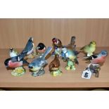 ELEVEN BESWICK BIRDS, comprising Chaffinch No991B, Blue Tit No992A, Wren No993A, Grey Wagtail No