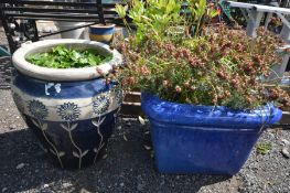 A LARGE SQUARE BLUE GLAZED PLANTER, containing various plants, 52cm squared x height 39cm, along