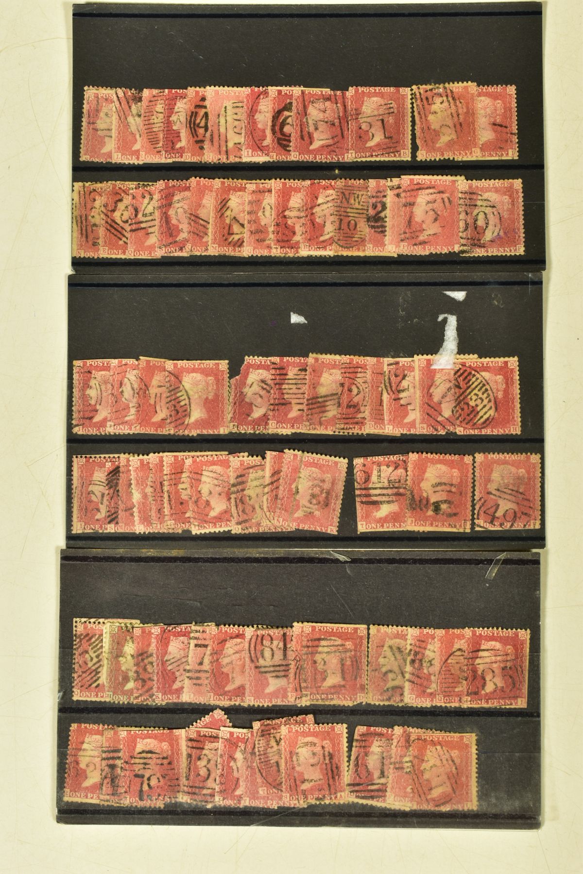 A LARGE BOX OF STAMPS in albums, loose and on cards, note 1946 omnibus, Locomive philatelica albums, - Image 7 of 14