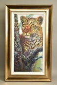 ROLF HARRIS (AUSTRALIA 1930) 'ALERT FOR PREY' a limited edition print of a Leopard in a tree 135/