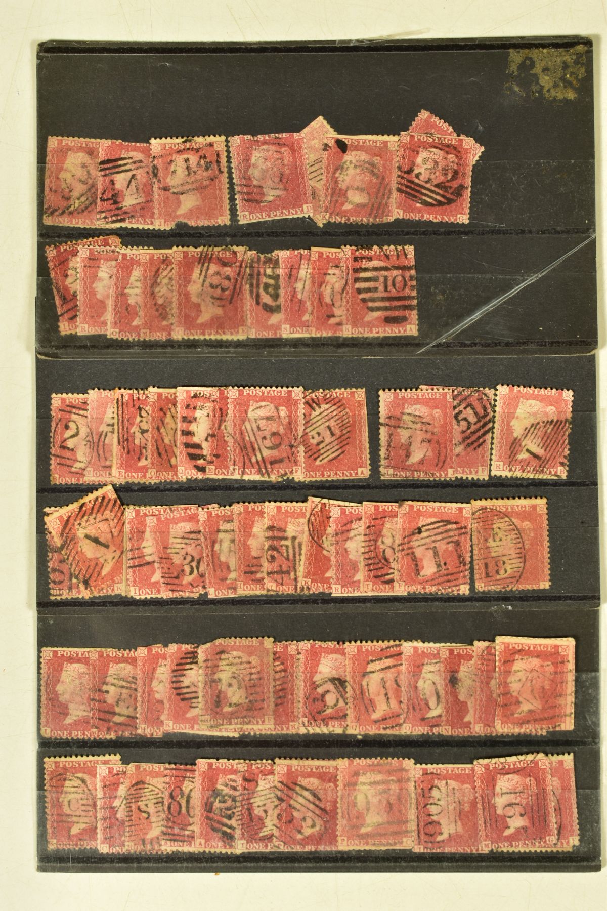 A LARGE BOX OF STAMPS in albums, loose and on cards, note 1946 omnibus, Locomive philatelica albums, - Image 9 of 14