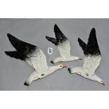 A SET OF THREE BESWICK SEAGULL WALL PLAQUES, NO'S. 922/1/2/ and 3 (Condition Report:- 922-1 the