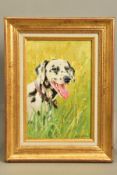 VLADIMIR BELSKY (RUSSIAN 1949) 'DALMATIAN' a portrait of a spotted dog in a grassy setting, signed