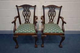 A PAIR OF REPRODUCTION MAHOGANY CHIPPENDALE STYLE CARVER CHAIRS, mythical creatures terminated to