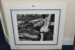 JOHN SWANNELL (BRITISH 1946) 'NAKED LANDSCAPE, PLATE 43' a limited edition photographic print 1/