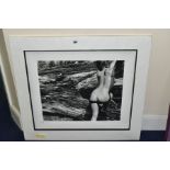 JOHN SWANNELL (BRITISH 1946) 'NAKED LANDSCAPE, PLATE 43' a limited edition photographic print 1/