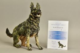 APRIL SHEPHERD (BRITISH CONTEMPORARY) 'RARING TO GO' an artist proof sculpture of an Alsatian dog