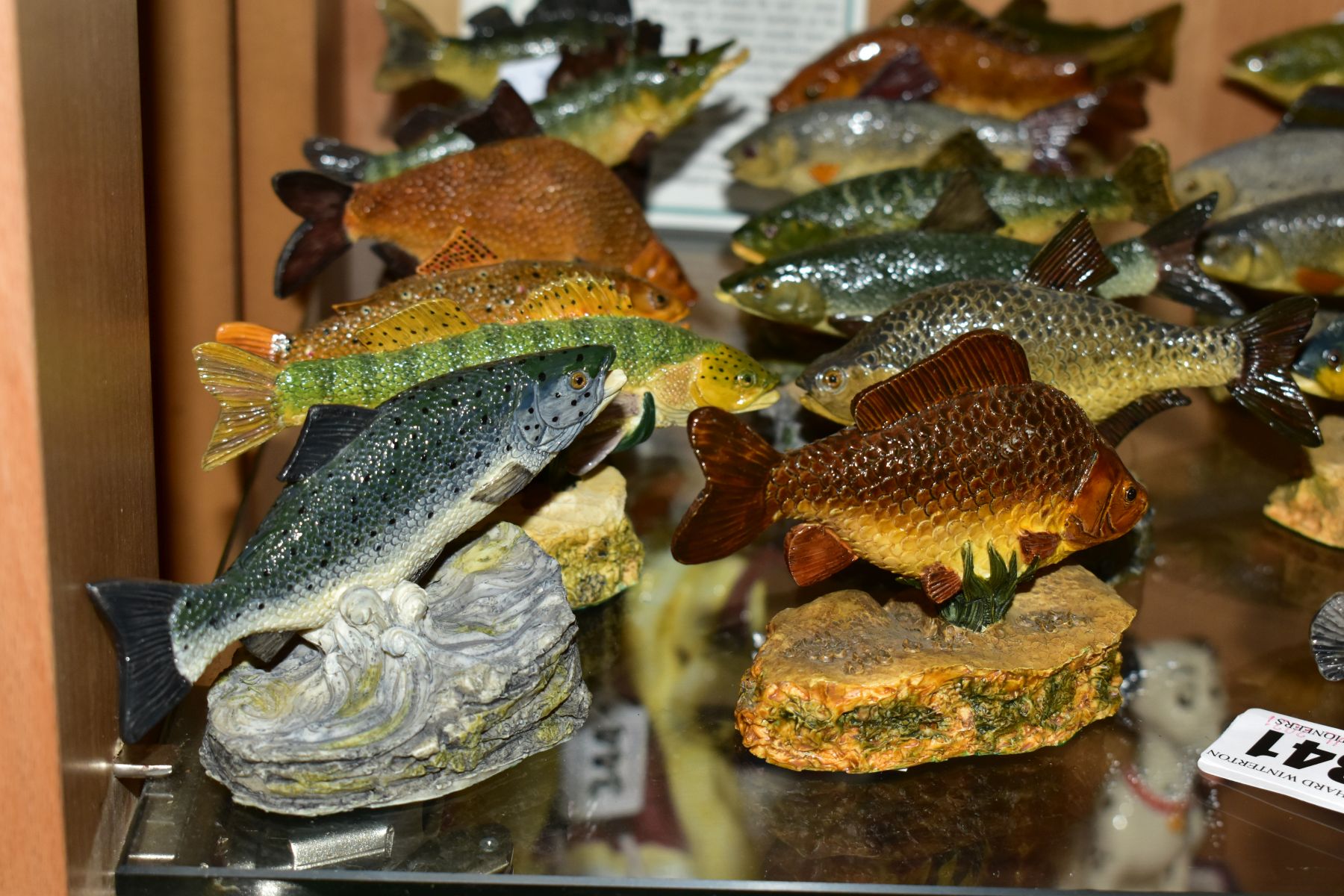TWENTY FOUR DANBURY MINT MODEL FISH FROM THE ANGLER'S SHOWCASE SERIES, all with certificates and - Image 3 of 9