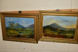 PAINTINGS AND PRINTS, ETC, to include 20th Century landscapes oil on canvas and board, one featuring