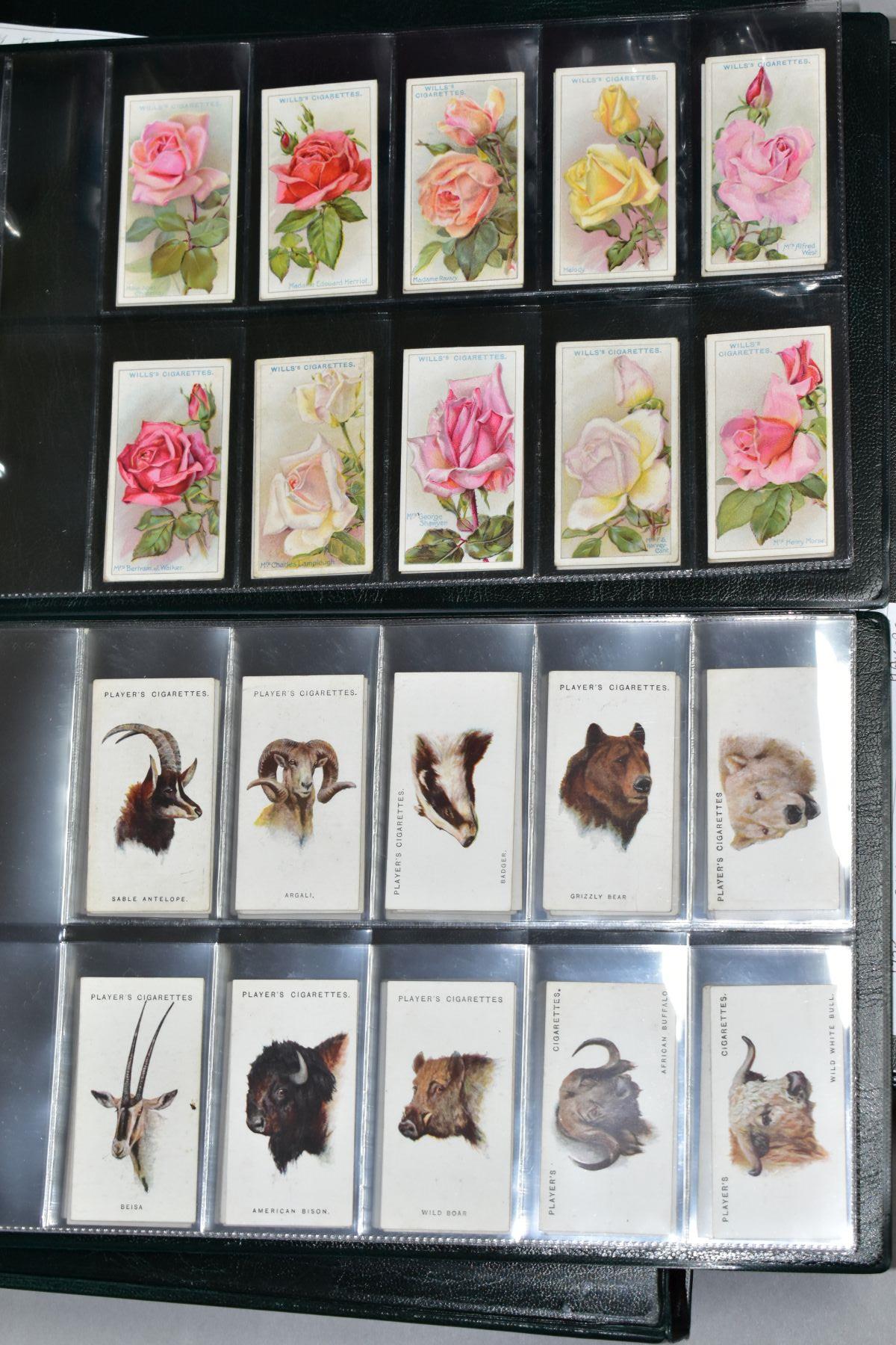 CIGARETTE CARDS, a large collection of approximately 1715 cigarette cards in thirty six sets (mostly - Image 5 of 10