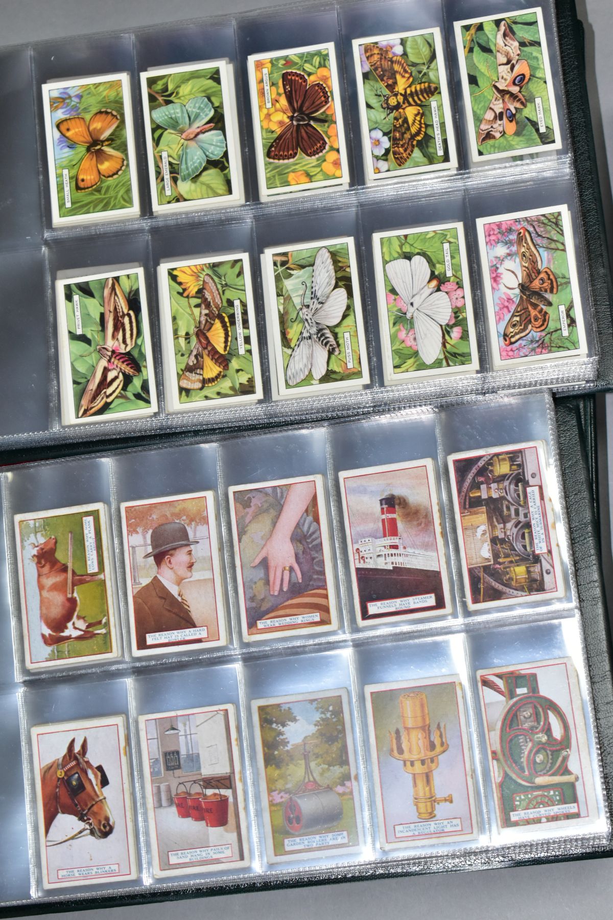 CIGARETTE CARDS, a large collection of approximately 2100 cigarette Ccards in five ring-binder - Image 10 of 16