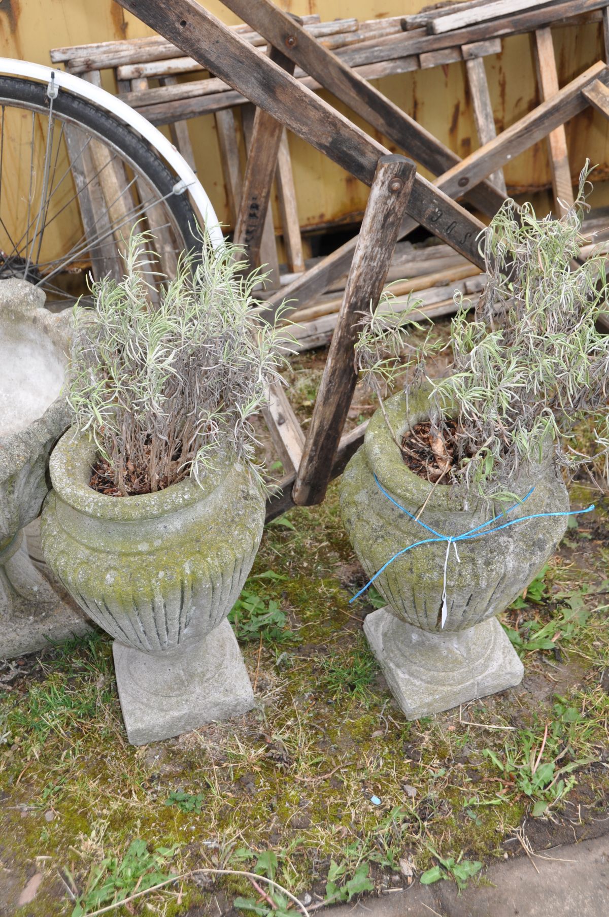 A PAIR OF COMPOSITE GARDEN URNS 43cm high, formed in one piece with fluted sides and planted with