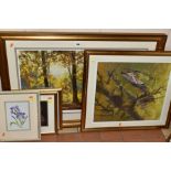 FRAMED PRINTS AND WATERCOLOUR, comprising a David Shepherd open edition print 'Autumn', signed to