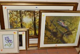 FRAMED PRINTS AND WATERCOLOUR, comprising a David Shepherd open edition print 'Autumn', signed to