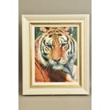 TONY FORREST (BRITISH 1961) 'WILD THING' a limited edition print of a Tiger 8/195, signed bottom