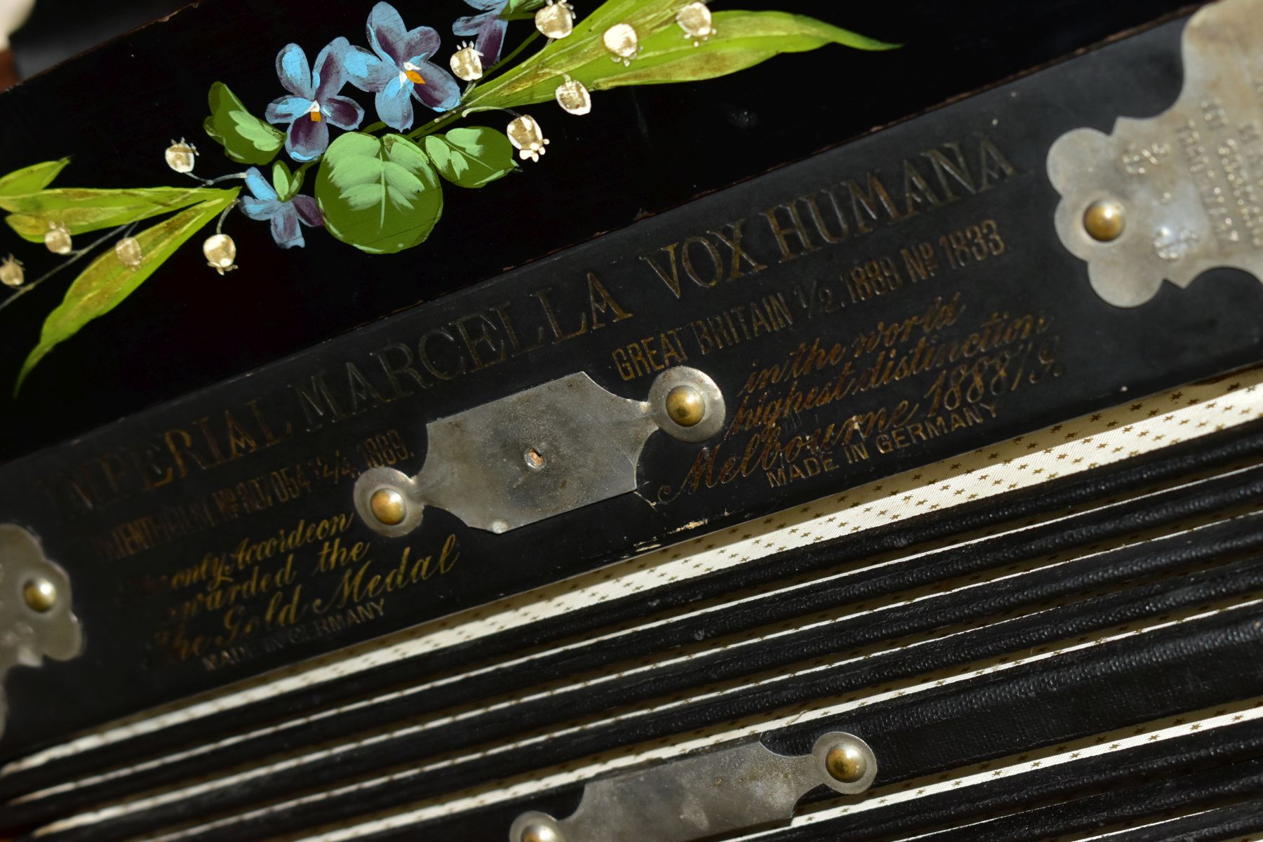 A LATE 19TH CENTURY CASED GERMAN IMPERIAL MARCELLA VOX HUMANA ACCORDIAN, with ten buttons, - Image 3 of 8