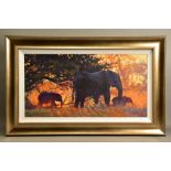 ROLF HARRIS (AUSTRALIAN 1930) 'BACKLIT GOLD' a limited edition print of Indian Elephants 100/195,