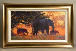 ROLF HARRIS (AUSTRALIAN 1930) 'BACKLIT GOLD' a limited edition print of Indian Elephants 100/195,