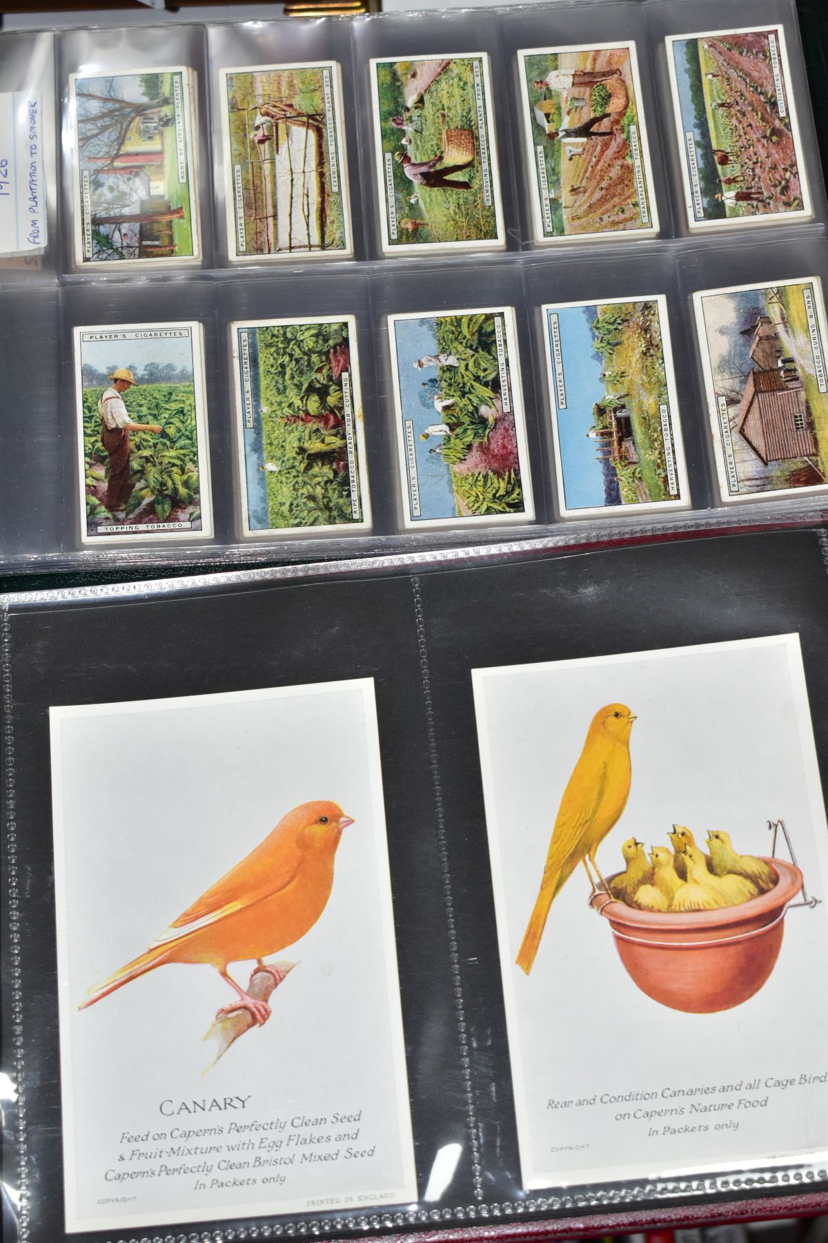 CIGARETTE CARDS. A Large Collection of approximately 1225 Cigarette Cards in twenty six sets (mostly - Image 8 of 8