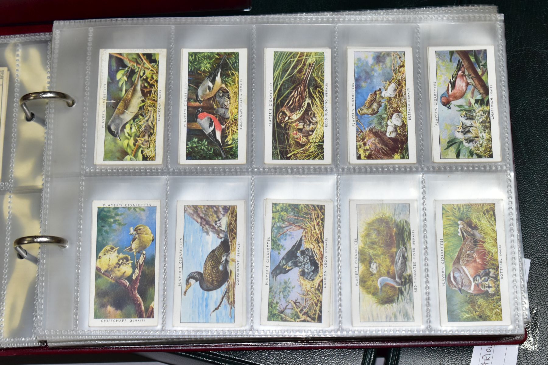 CIGARETTE CARDS, a large collection of approximately 2100 cigarette Ccards in five ring-binder - Image 2 of 16