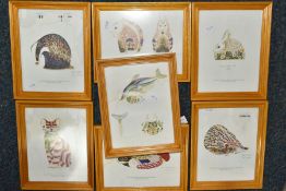 EIGHT PRINTS OF DESIGNS FOR ROYAL CROWN DERBY FOR JOHN SINCLAIR PAPERWEIGHTS, artwork by J.Ablitt,