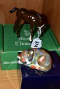 A BOXED ROYAL CROWN DERBY 'CATNIP KITTEN' COLLECTORS GUILD EXCLUSIVE PAPERWEIGHT (GOLD BUTTON),