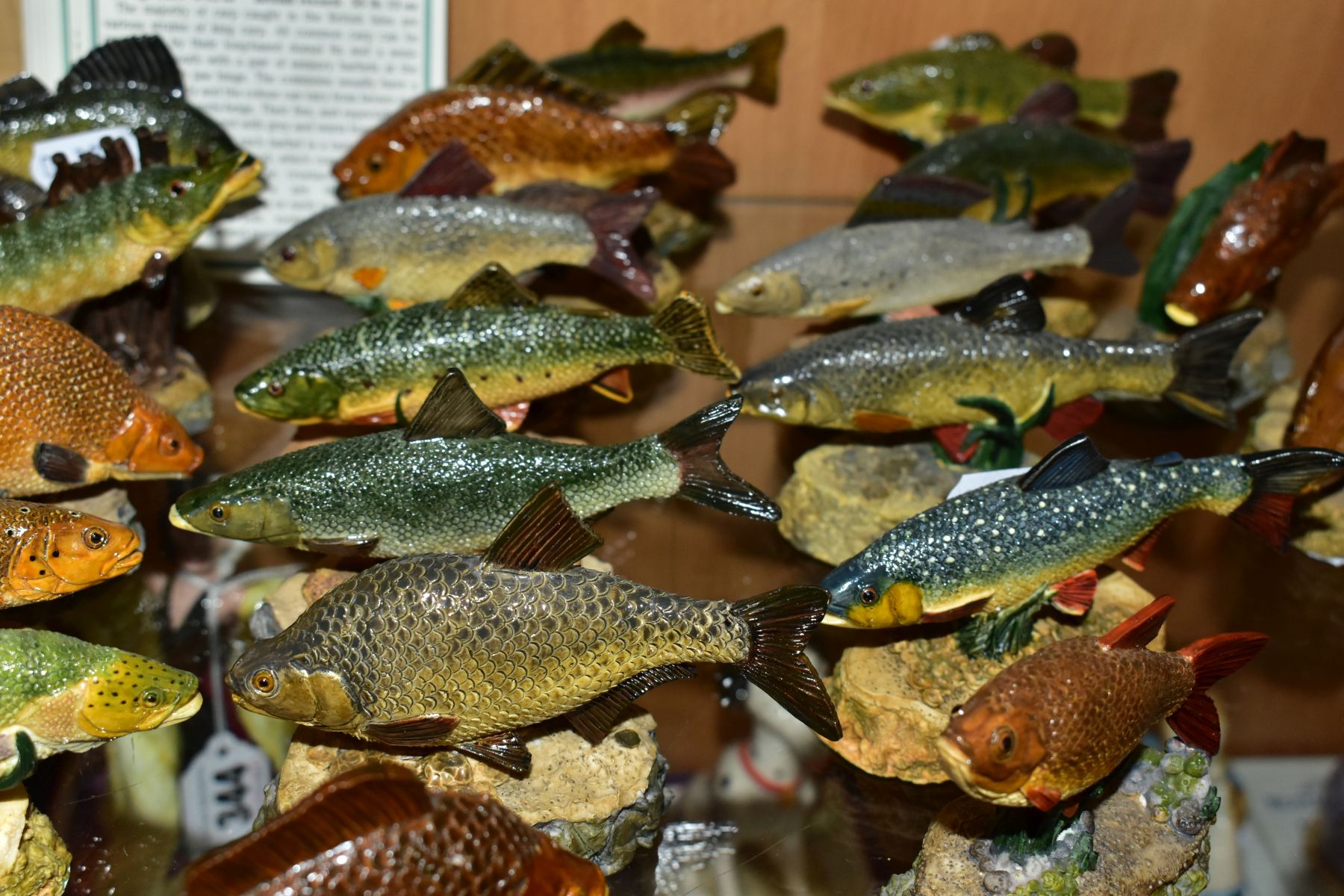 TWENTY FOUR DANBURY MINT MODEL FISH FROM THE ANGLER'S SHOWCASE SERIES, all with certificates and - Image 5 of 9