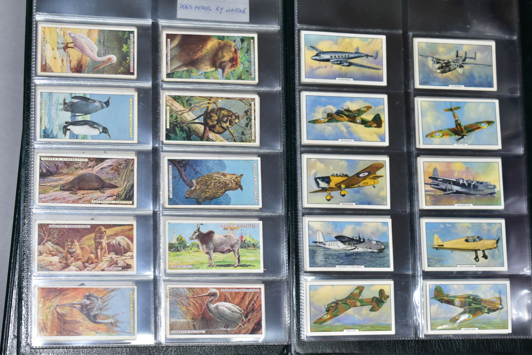 CIGARETTE CARDS, a large collection of approximately 1715 cigarette cards in thirty six sets (mostly - Image 10 of 10