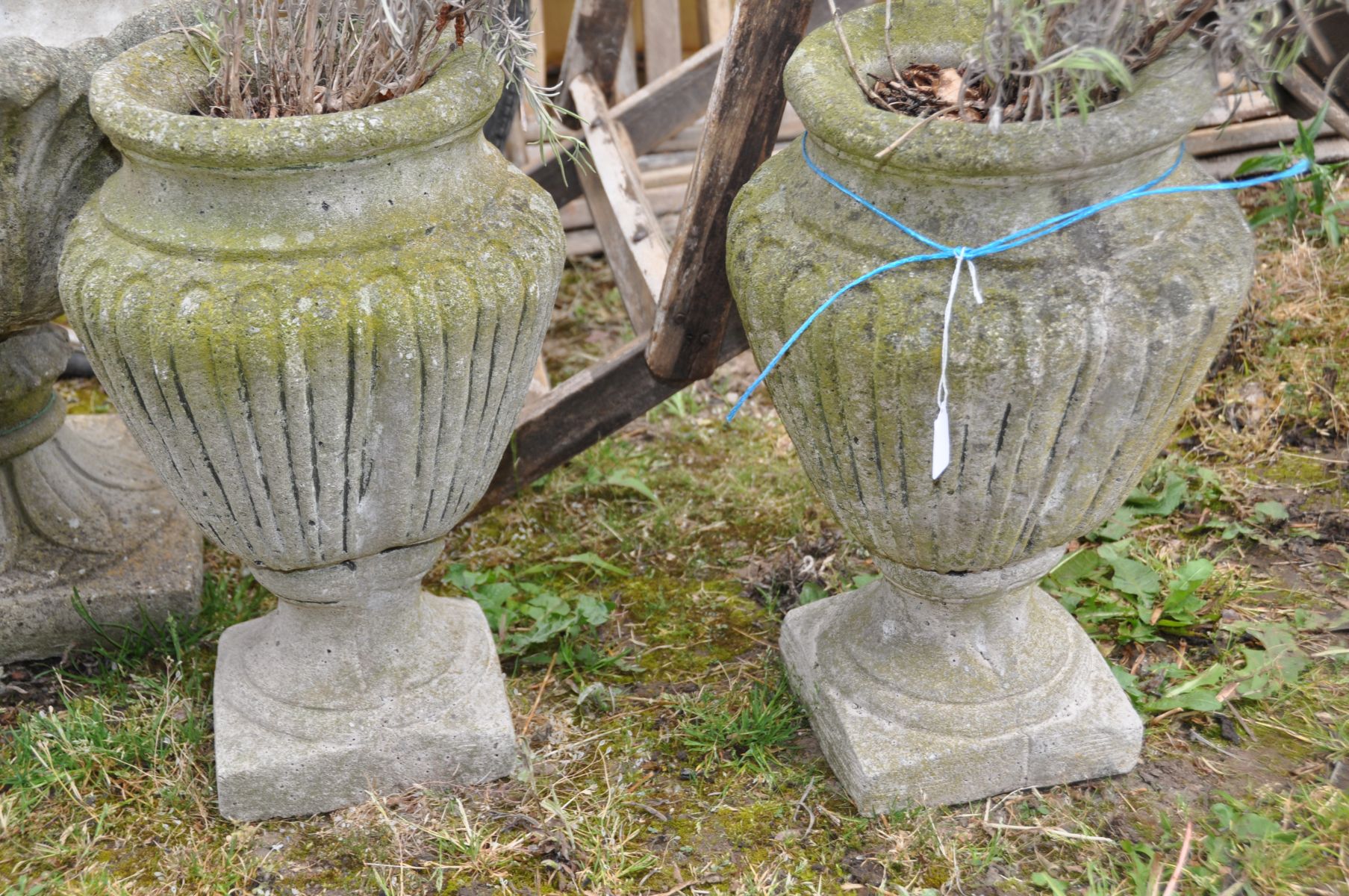 A PAIR OF COMPOSITE GARDEN URNS 43cm high, formed in one piece with fluted sides and planted with - Image 2 of 2